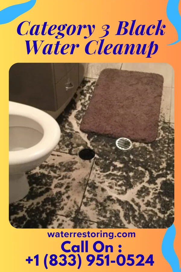 Category 3 Black Water Cleanup in Independence, MO